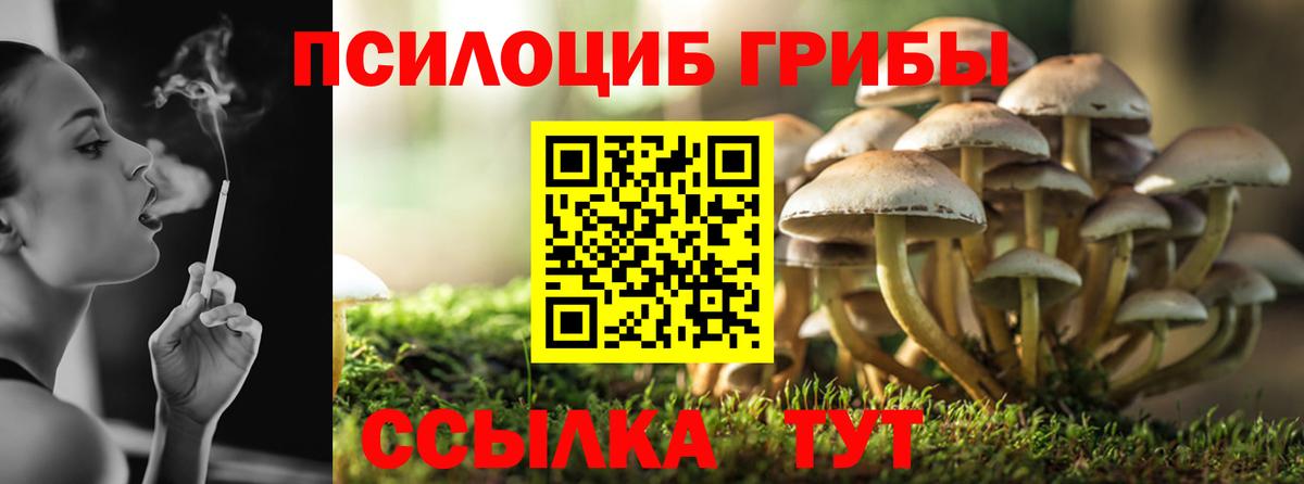 Галлюциногенные грибы MAGIC MUSHROOMS Улан-Удэ