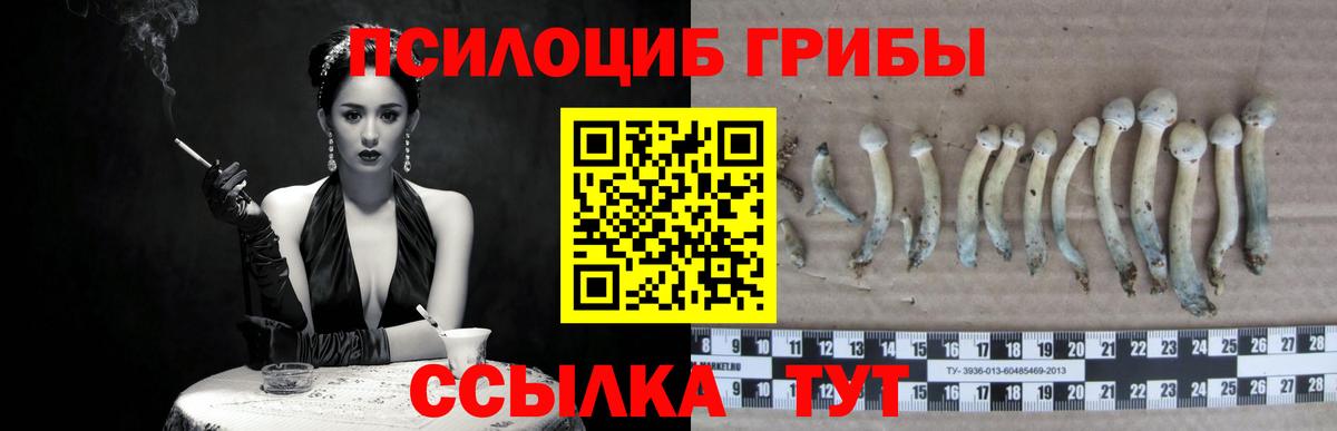 Улан-Удэ  Галлюциногенные грибы GOLDEN TEACHER  Псилоцибиновые грибы мицелий  Вход с VPN 